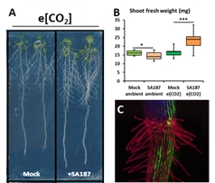 MetaboActions : Signaling